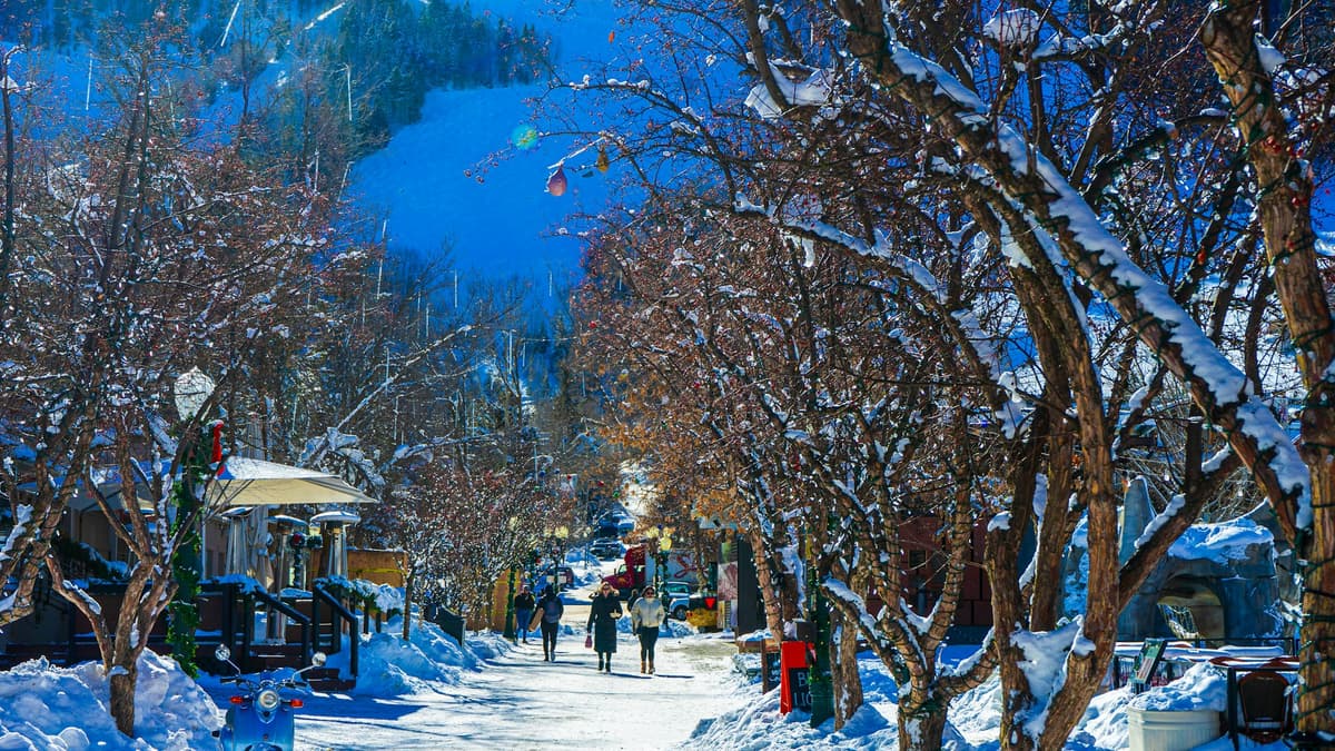 Snow-covered trees along a downtown Aspen street, with ski runs on the mountain above town