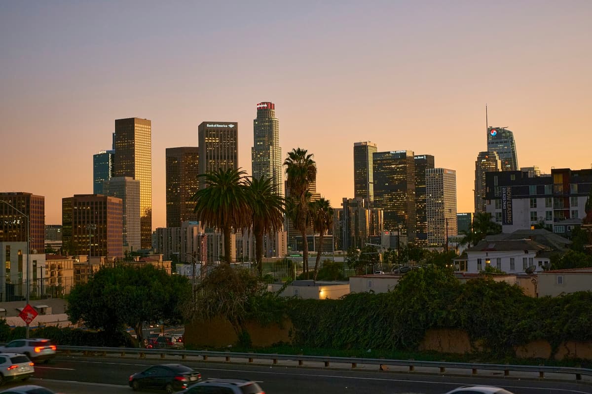 Los Angeles skyline with palm trees at sunset