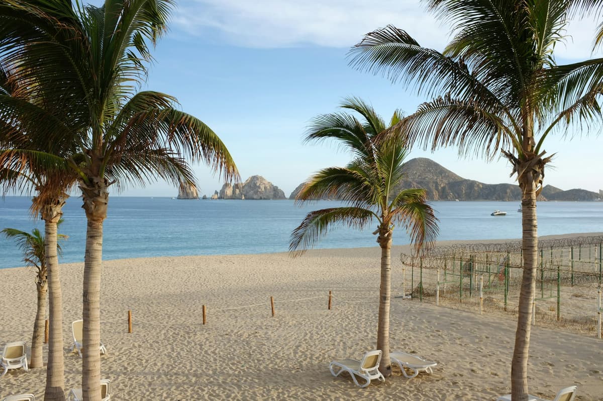 Palm trees and beach loungers on a Cabo San Lucas beach, looking toward the rocks at Land's End