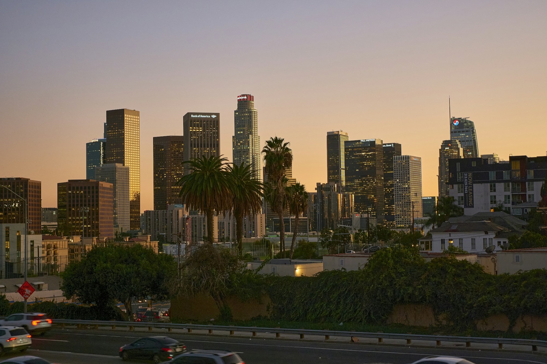 Los Angeles skyline with palm trees at sunset