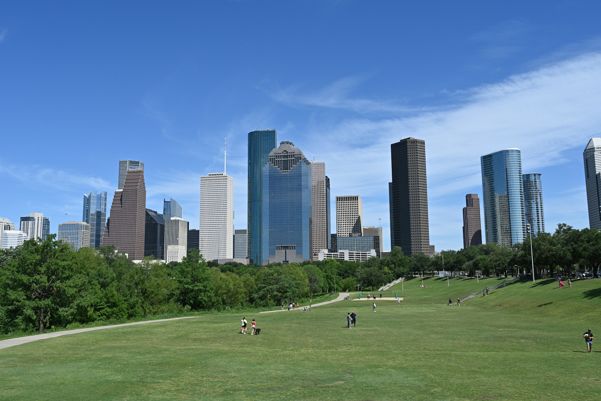 Downtown Houston skyline above a grassy park on a clear day