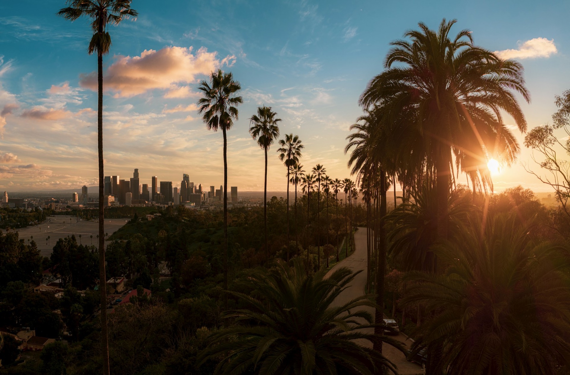 Palm trees and Los Angeles skyline at golden hour